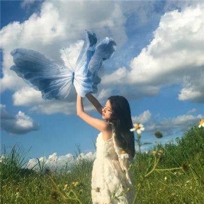 森林捣乱者罗宾汉